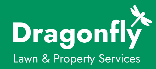 Dragonfly Services Logo