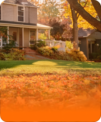Spring and autumn cleanups image